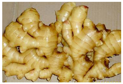 從冷熱計(jì)量儀表到辛辣蔬菜 探索精準(zhǔn)計(jì)量與農(nóng)業(yè)供應(yīng)的多元平臺